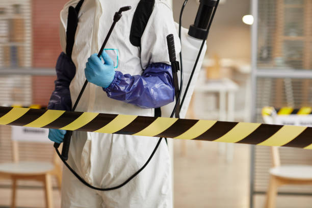 Professional Trauma Scene Cleanup technician working in Dorchester Center, MA